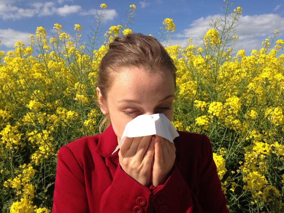 mitos y verdades alergias verano