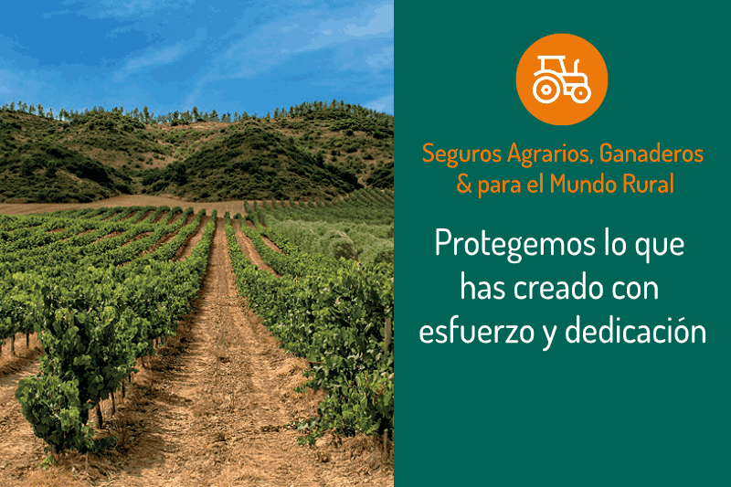 Seguros Agrarios y AgroCaser