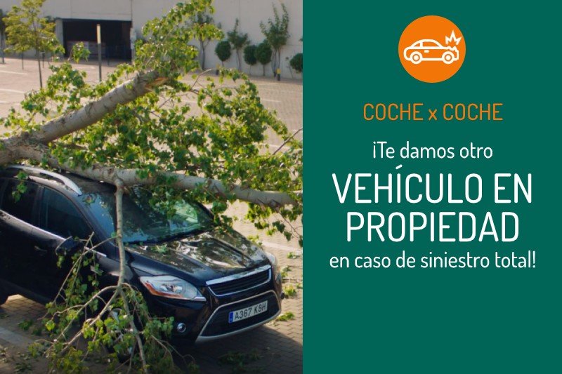 Caser Coche por Coche