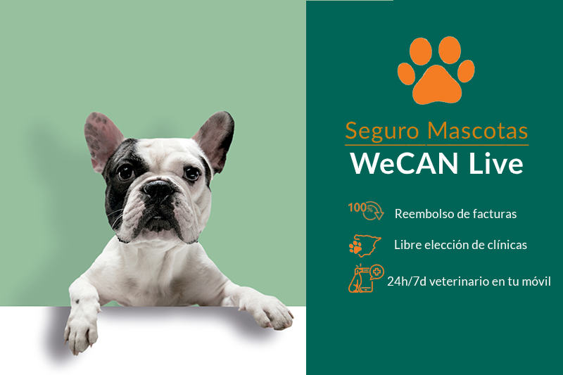 Seguro para Mascotas WE CAN Live