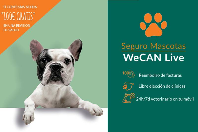 Seguro para Mascotas WE CAN Live