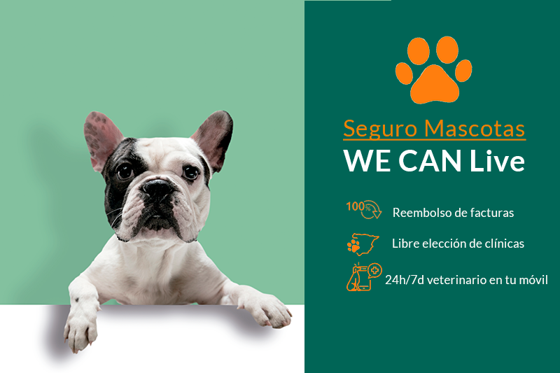 Seguro para Mascotas WE CAN Live