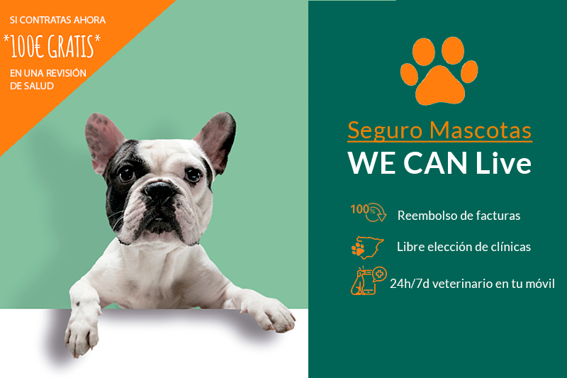 Seguro para Mascotas WE CAN Live