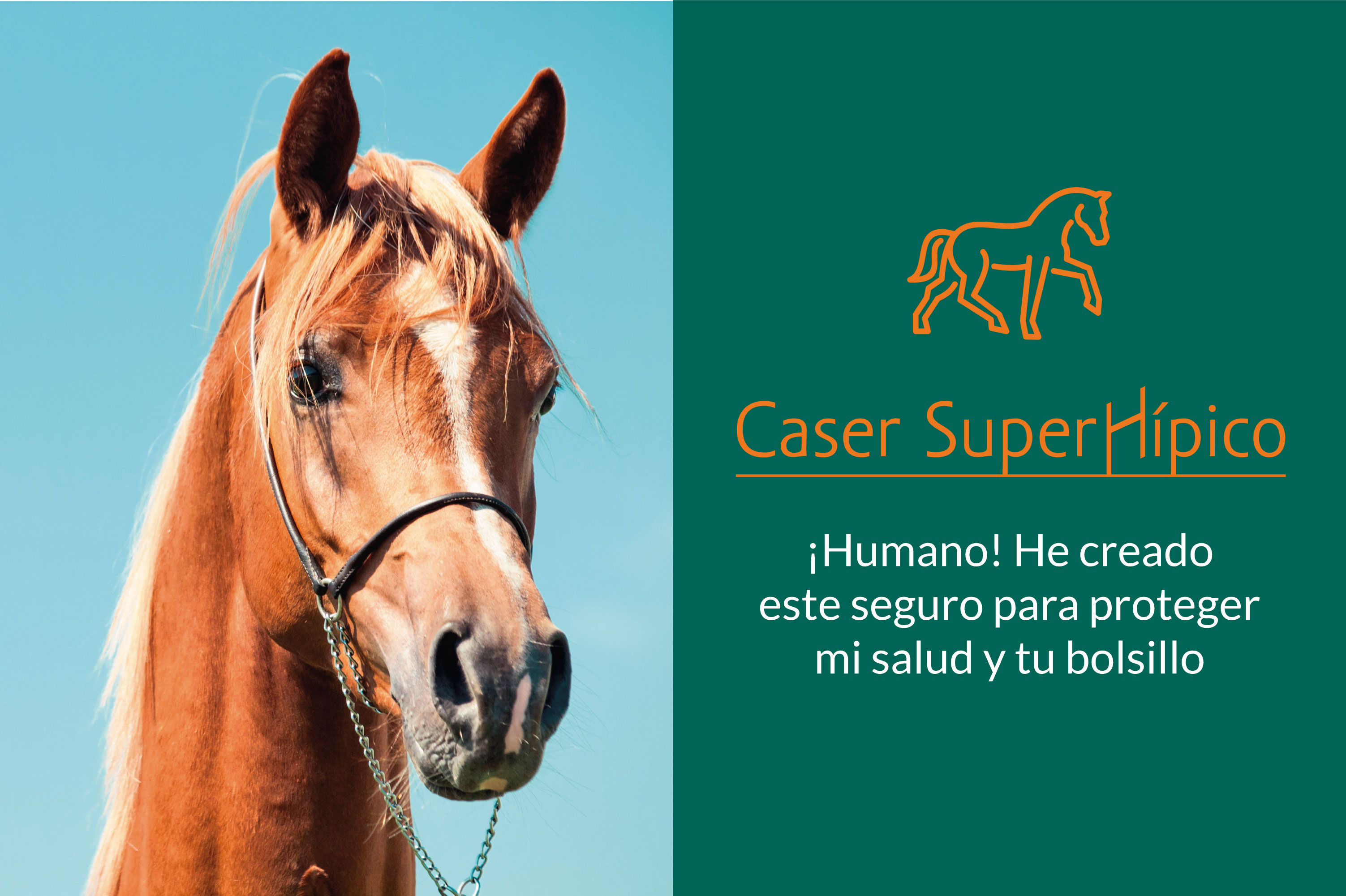 Caser SuperHípico